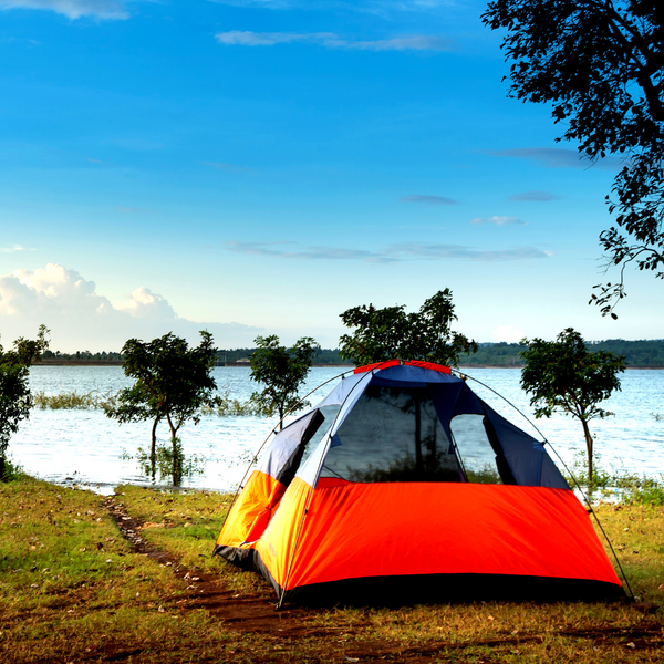 Campground with plants